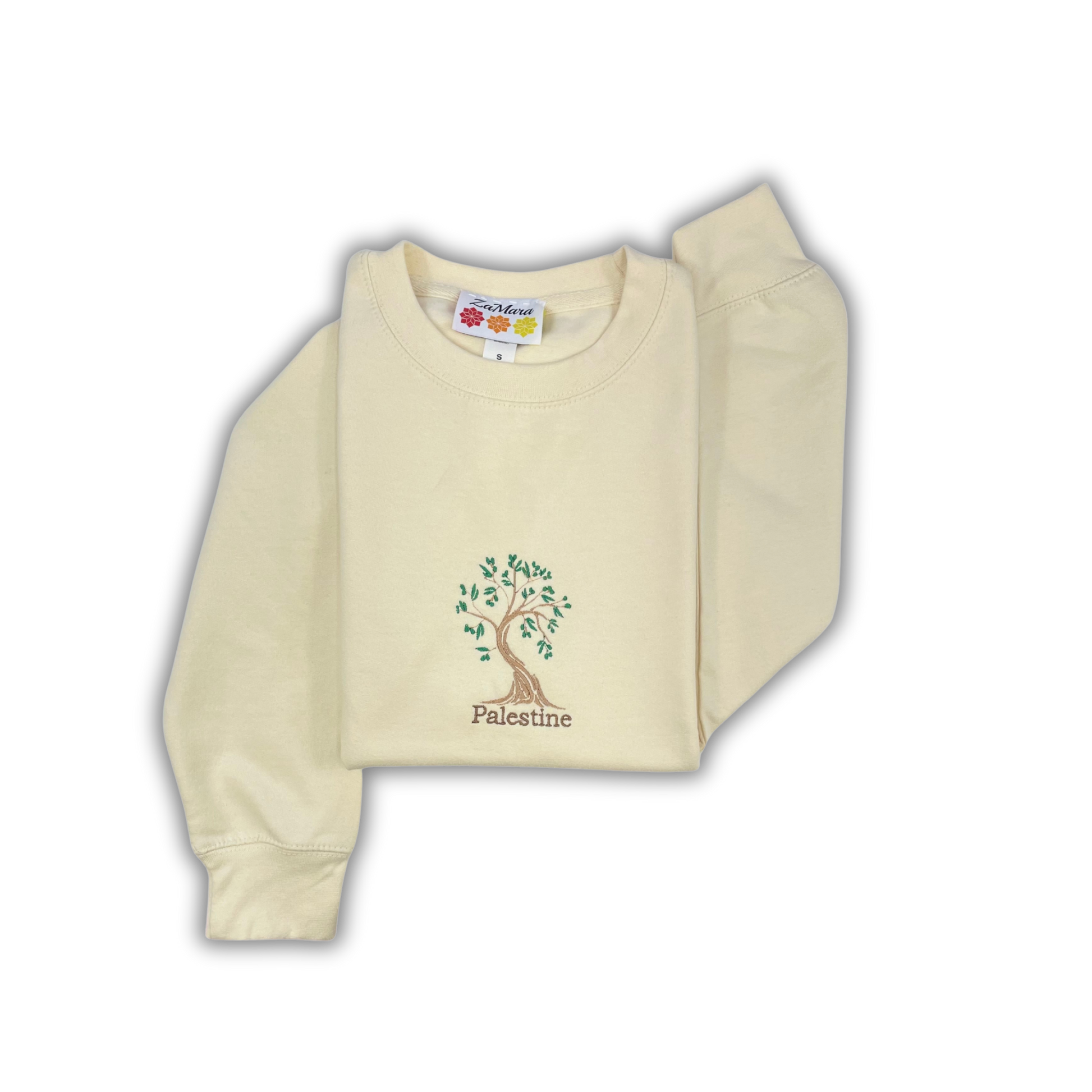 Olive tree Top