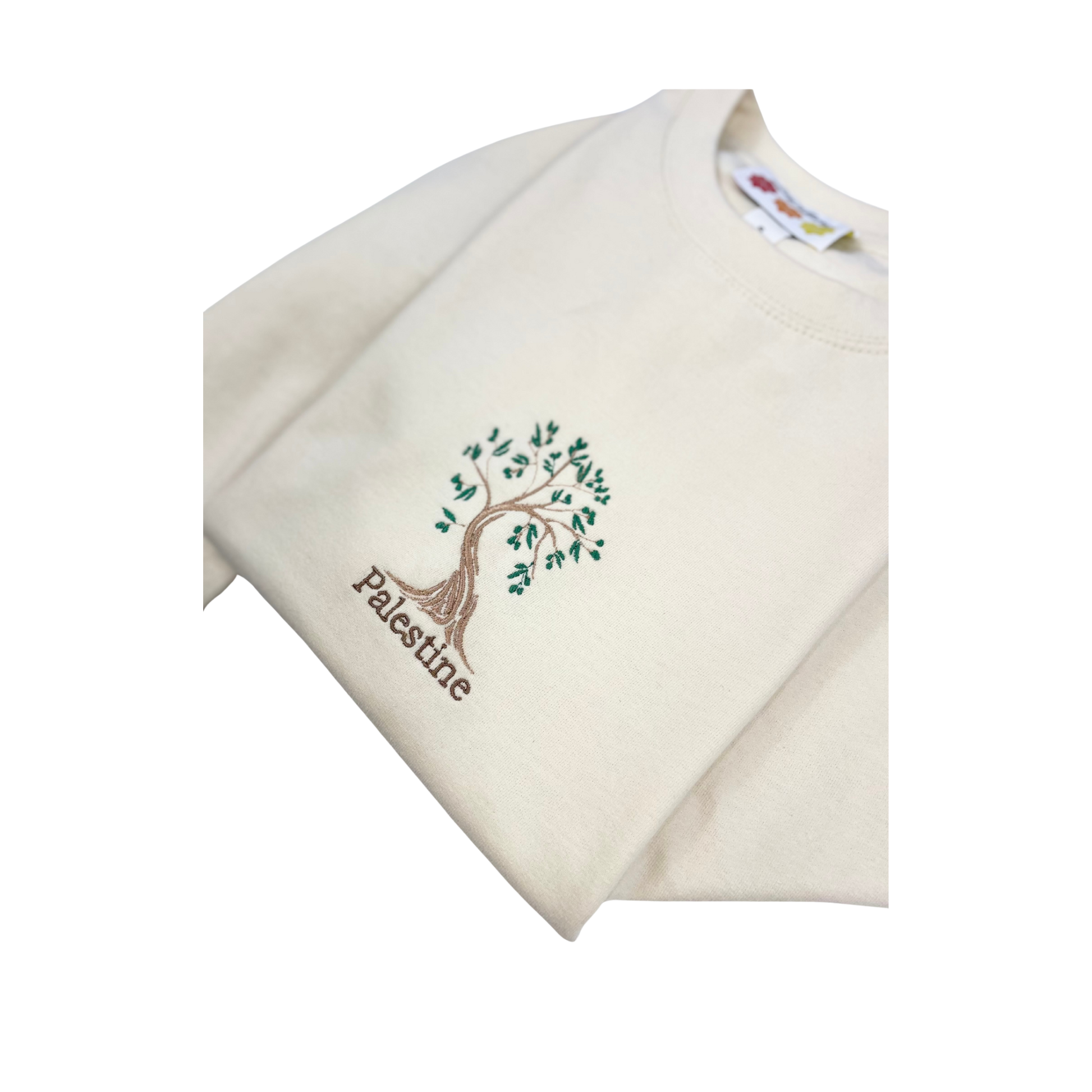 Olive tree Top