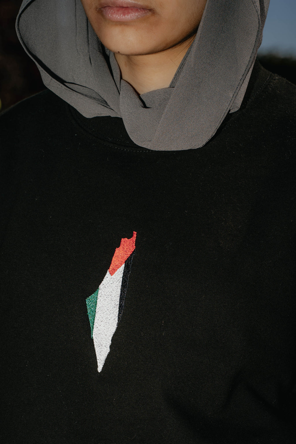 Palestine Map and Coordinates Top