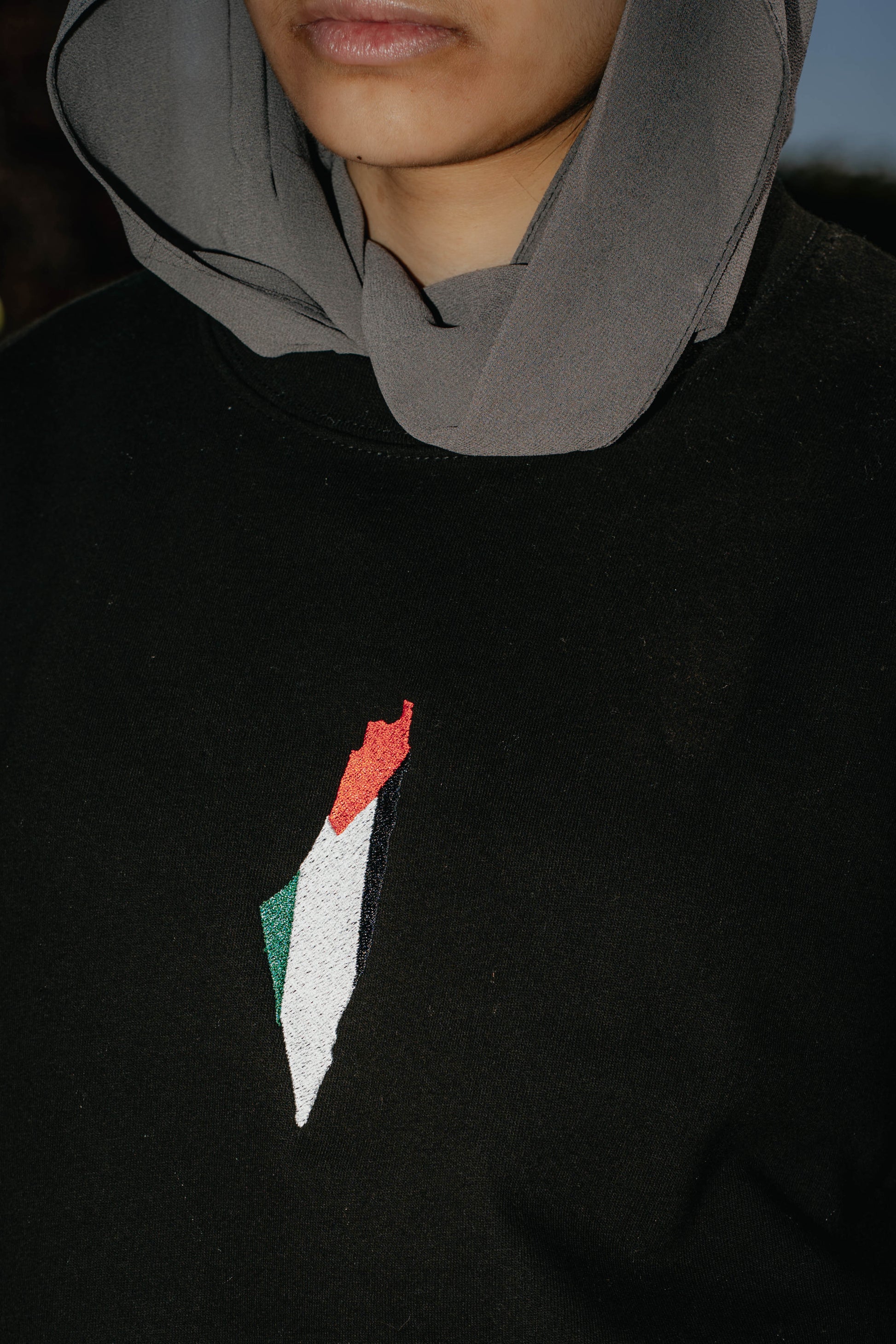 Palestine Map and Coordinates Top