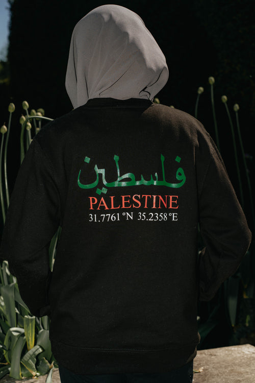 Palestine Map and Coordinates Top