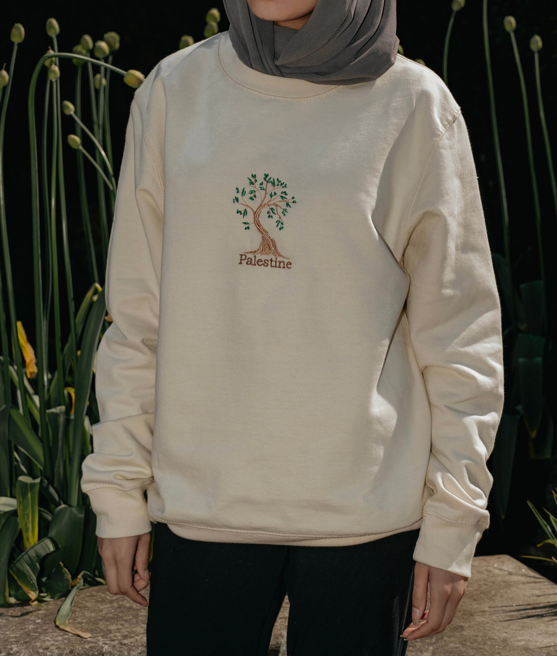 Olive tree Top