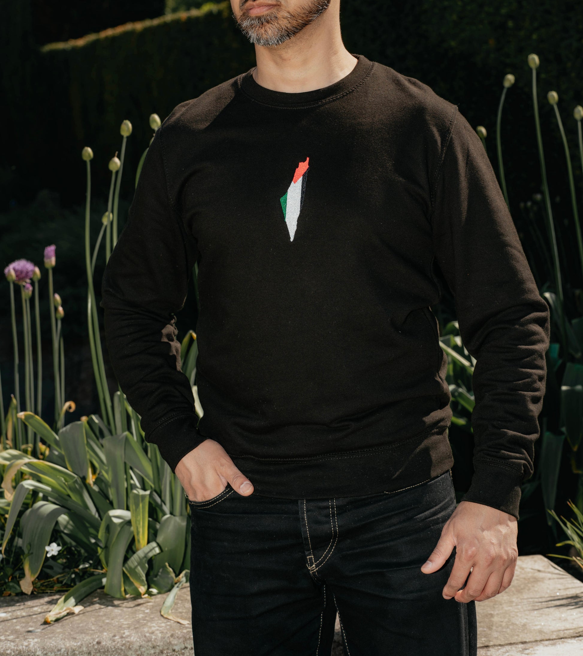 Palestine Map and Coordinates Top