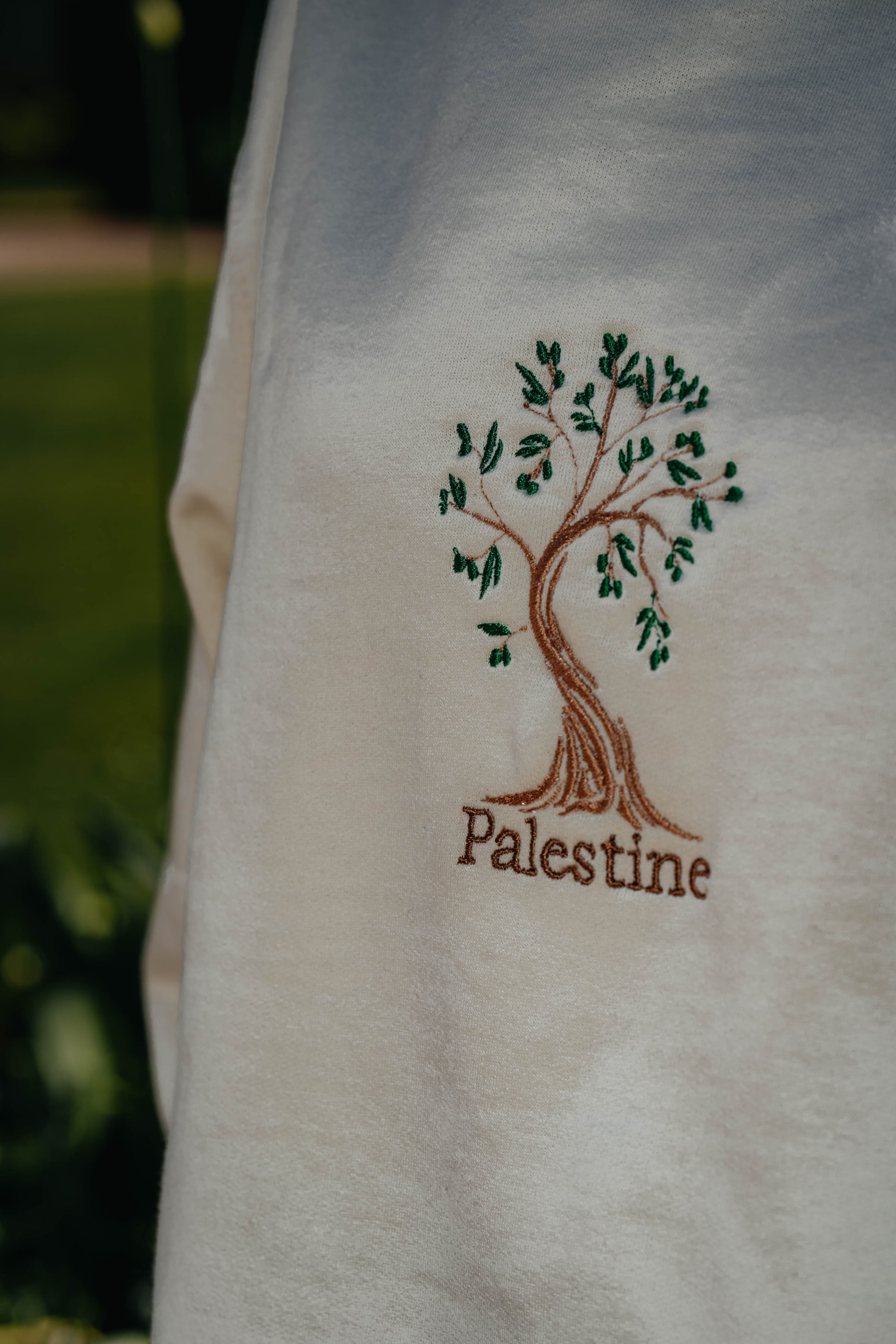 Olive tree Top