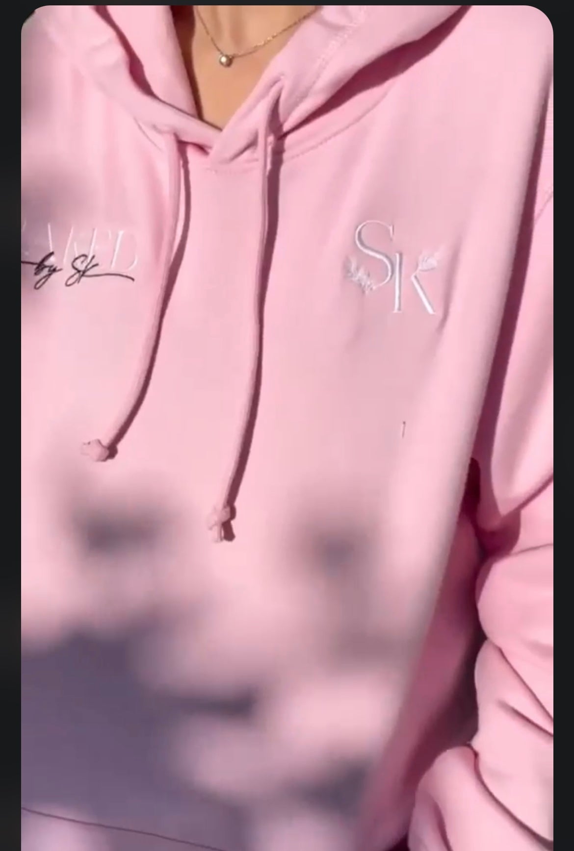 Business Logo Embroidery Hoodie